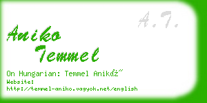 aniko temmel business card